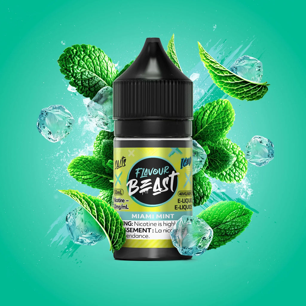 Flavourbeast Miami Mint | Salt