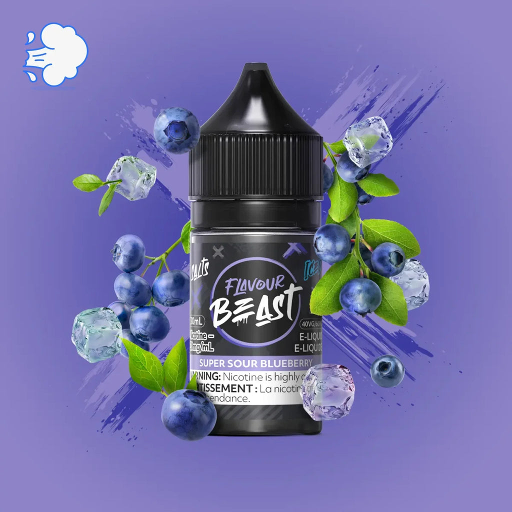 Flavourbeast Super Sour Blueberry Iced | Salt