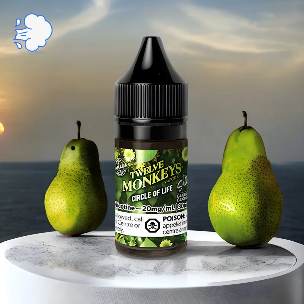 Twelve Monkeys Circle Of Life | Salt - SkipTheVapes