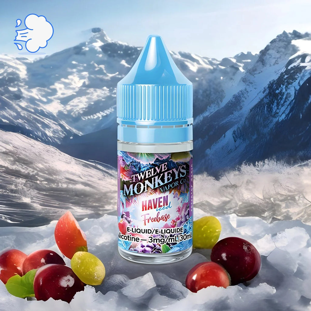 Twelve Monkeys Haven Iced | Freebase - SkipTheVapes