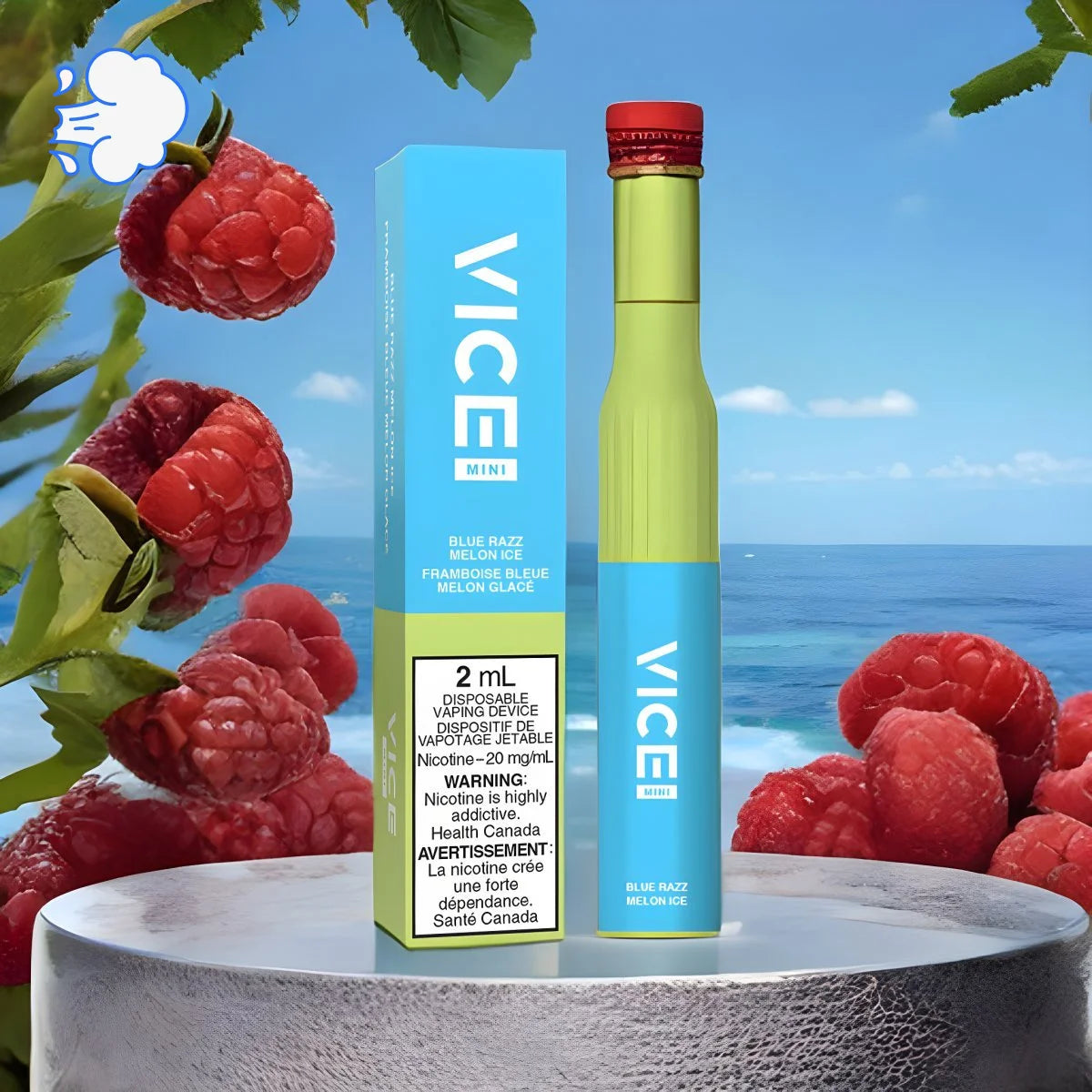 VICE Blue Razz Melon Ice Mini | Disposable | Same-day delivery in BC ...